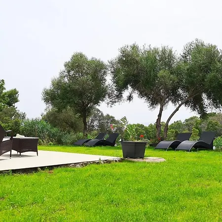Sole Matto Bed & Breakfast Olbia