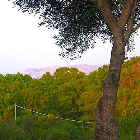 Bed & Breakfast Sole Matto Olbia